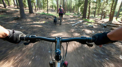 Top 10 Dog-Friendly Biking Trails in Iowa