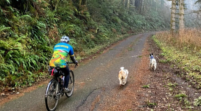 Top 10 Dog-Friendly Biking Trails in Wisconsin